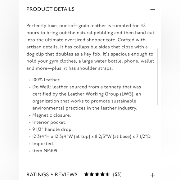 Madewell Shopper Tote In Sepia - Picture 4 of 15